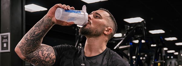 Treenist palautuminen