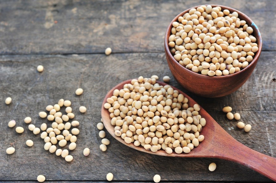 Kuivattuja soijapapuja.