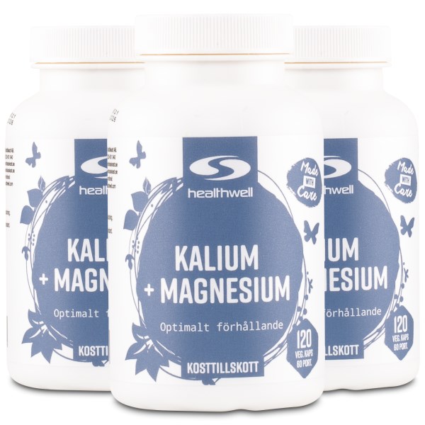 Healthwell Kalium+Magnesium, 360 kapselia