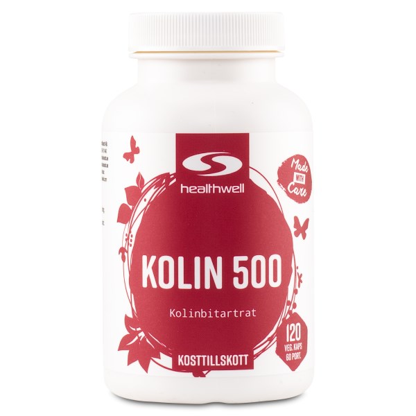 Healthwell Koliini 500, 120 kapselia