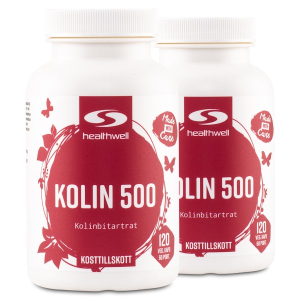 Healthwell Koliini 500, 240 kapselia