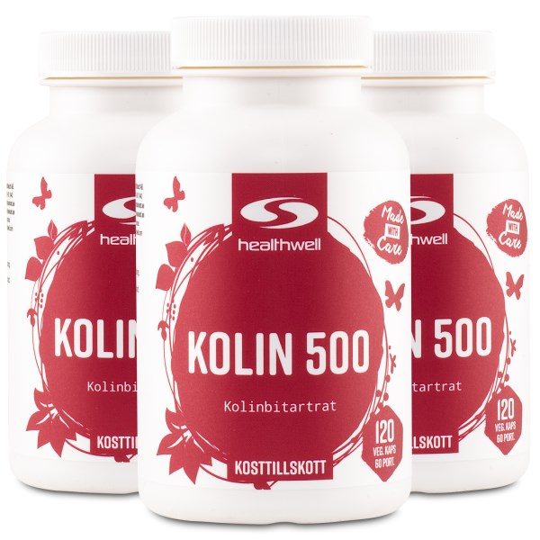 Healthwell Koliini 500, 360 kapselia