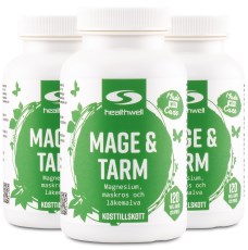 Pienoiskuva Healthwell Vatsa & Suolisto , 360 kapselia