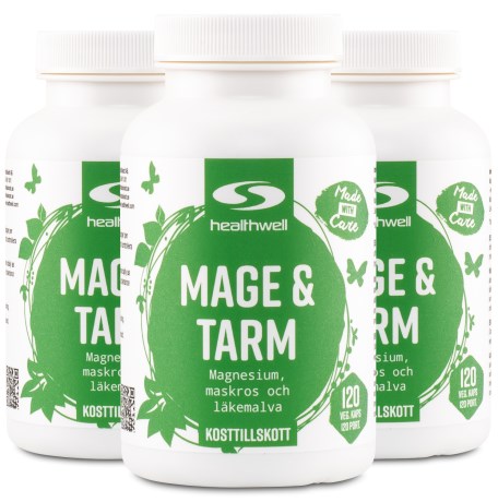 Pienoiskuva Healthwell Vatsa & Suolisto , 360 kapselia