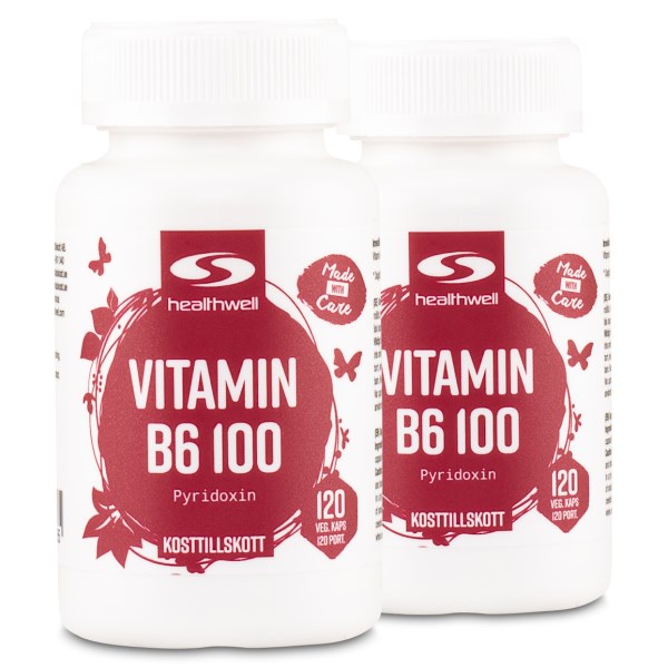 Healthwell Vitamin B6 100, 240 kapselia