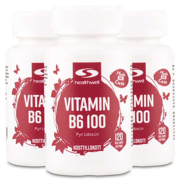Healthwell Vitamin B6 100, 360 kapselia