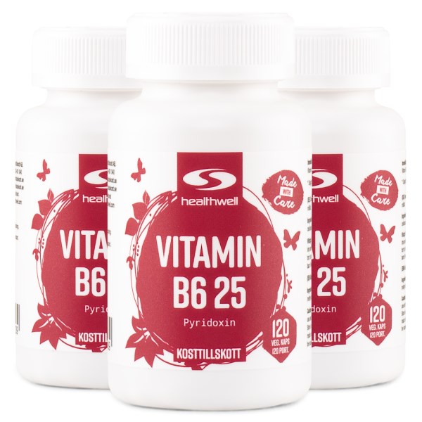 Healthwell B6 Vitamiini 25, 360 kapselia