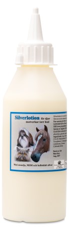 Pienoiskuva Ion Silver Silverlotion, 250 ml Hopeavoide
